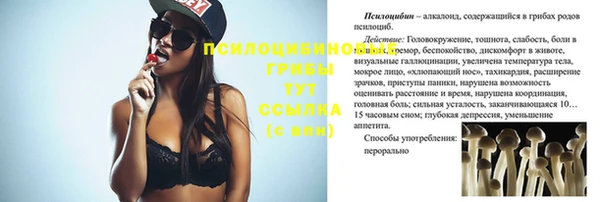 меф Пролетарск