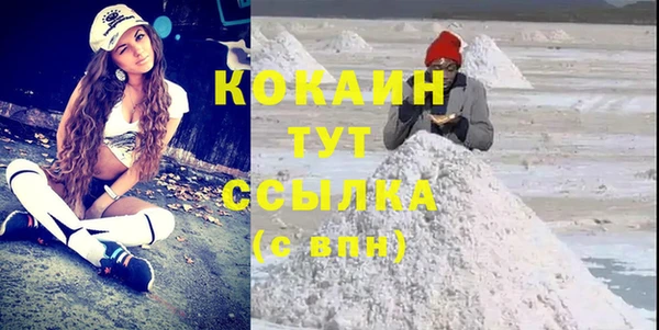 шишки Приозерск