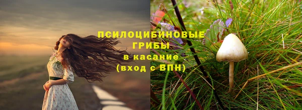 меф Пролетарск